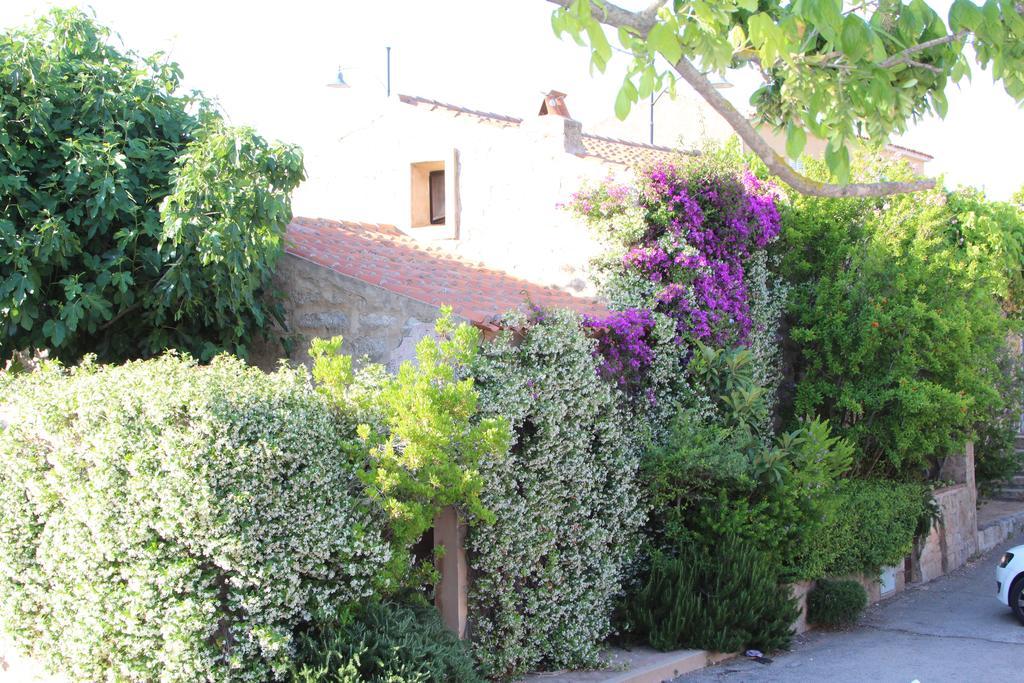 La Porta Sulla Costa Bed & Breakfast San Pantaleo Luaran gambar